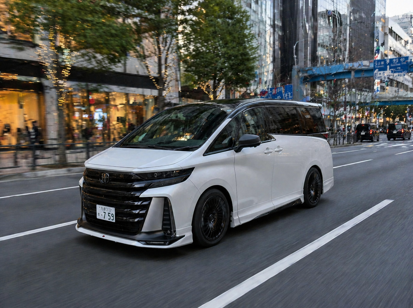TOYOTA ALPHARD / VELLFIRE の BLACK DIVIDE